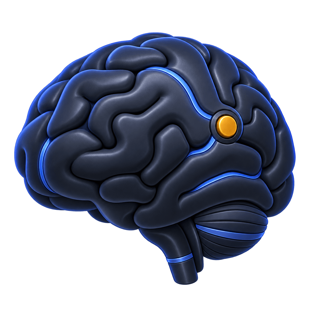 A brain.